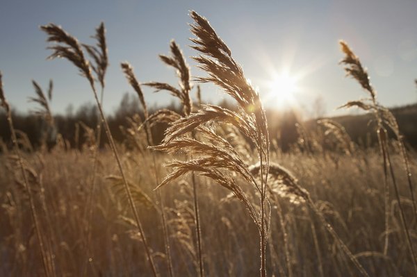 Où trouver les meilleures routes pour un road trip en Australie ?